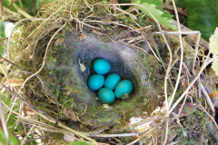 20230608_092715-scaled