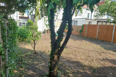 20230611_085609-scaled