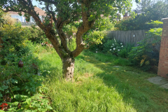 20230613_091327-scaled