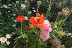 20230613_100258-scaled