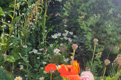 20230613_100303-scaled