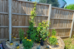 20230616_144516-scaled