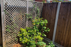 20230616_144528-scaled